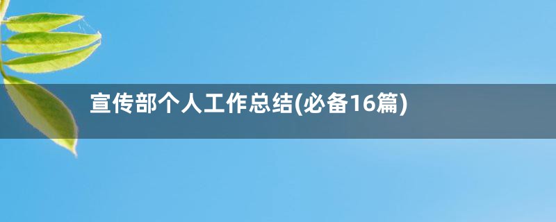 宣传部个人工作总结(必备16篇)