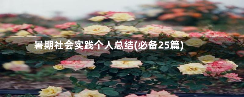 暑期社会实践个人总结(必备25篇)