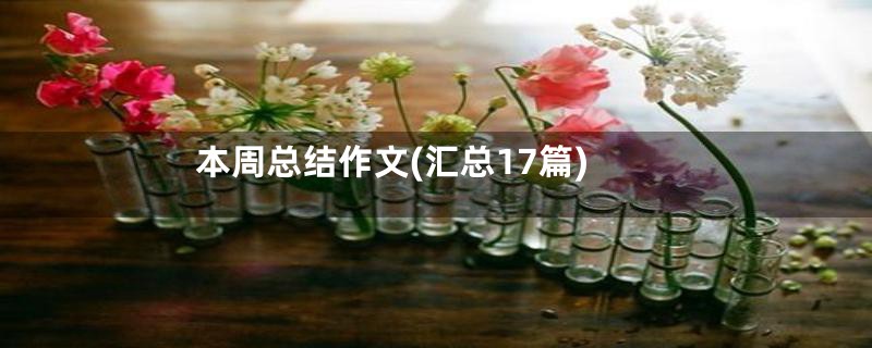 本周总结作文(汇总17篇)