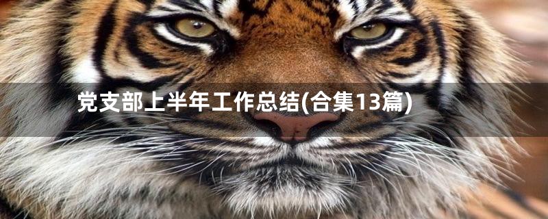 党支部上半年工作总结(合集13篇)