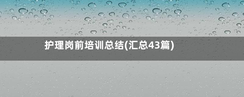 护理岗前培训总结(汇总43篇)