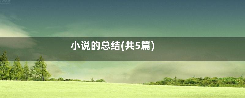 小说的总结(共5篇)