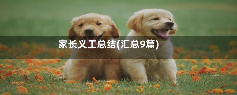 家长义工总结(汇总9篇)