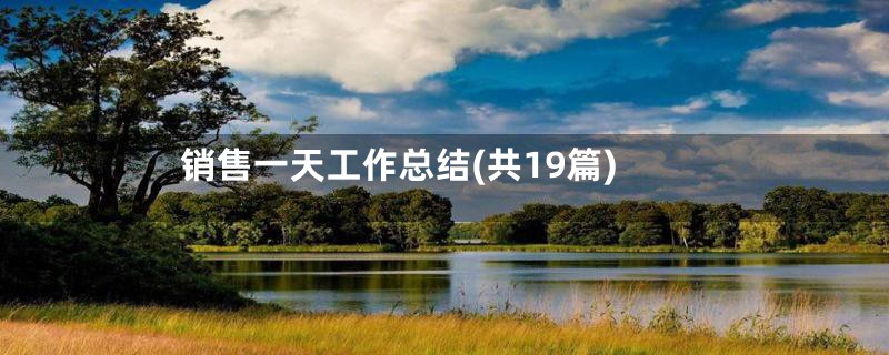 销售一天工作总结(共19篇)