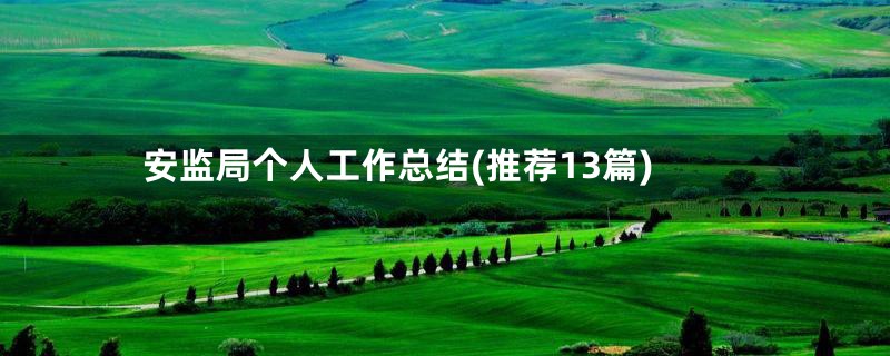 安监局个人工作总结(推荐13篇)