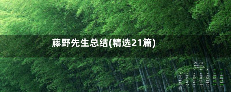 藤野先生总结(精选21篇)
