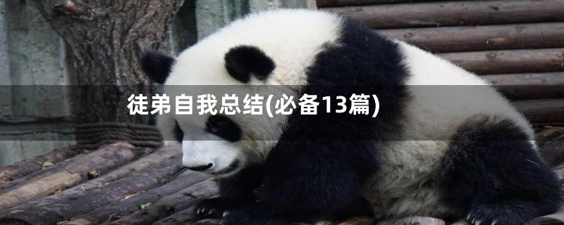 徒弟自我总结(必备13篇)