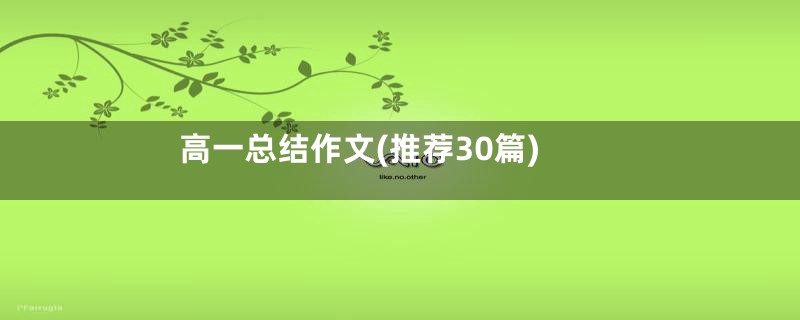 高一总结作文(推荐30篇)