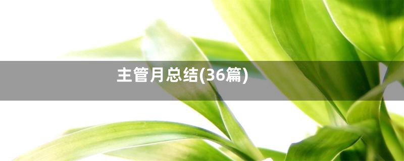 主管月总结(36篇)