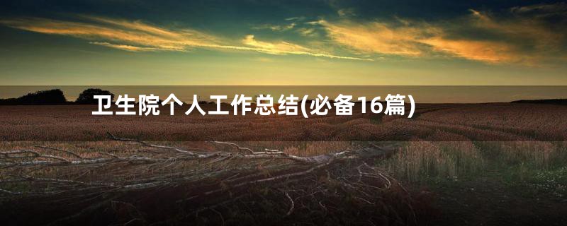 卫生院个人工作总结(必备16篇)