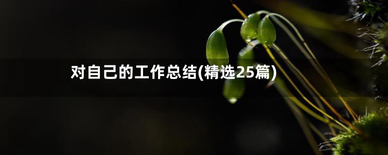 对自己的工作总结(精选25篇)