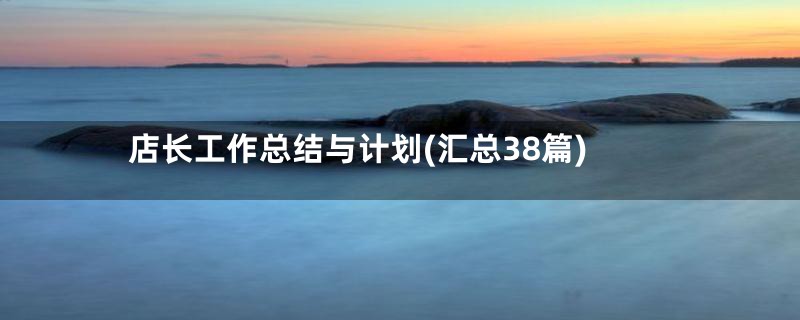 店长工作总结与计划(汇总38篇)