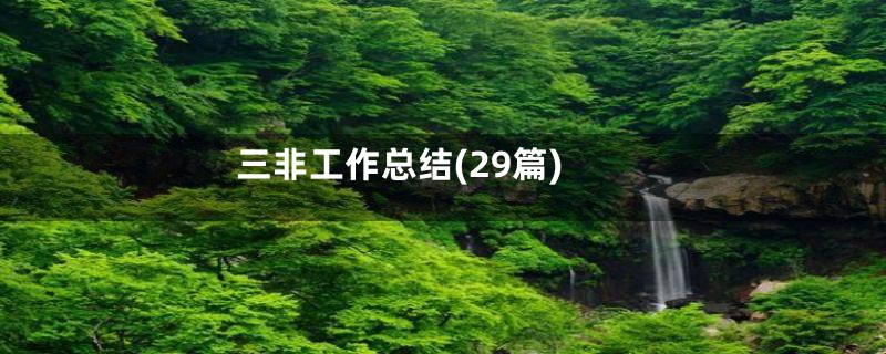 三非工作总结(29篇)