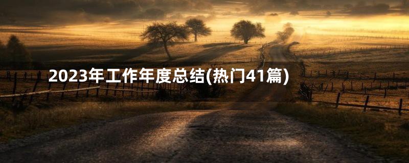 2023年工作年度总结(热门41篇)