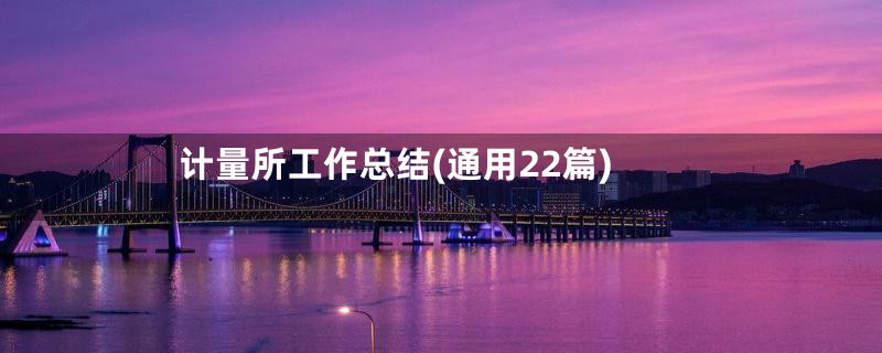 计量所工作总结(通用22篇)