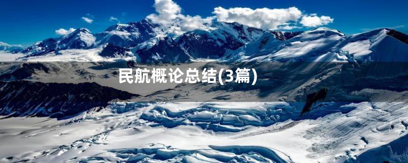 民航概论总结(3篇)