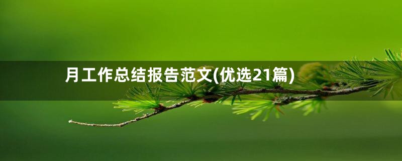 月工作总结报告范文(优选21篇)