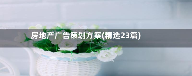 房地产广告策划方案(精选23篇)