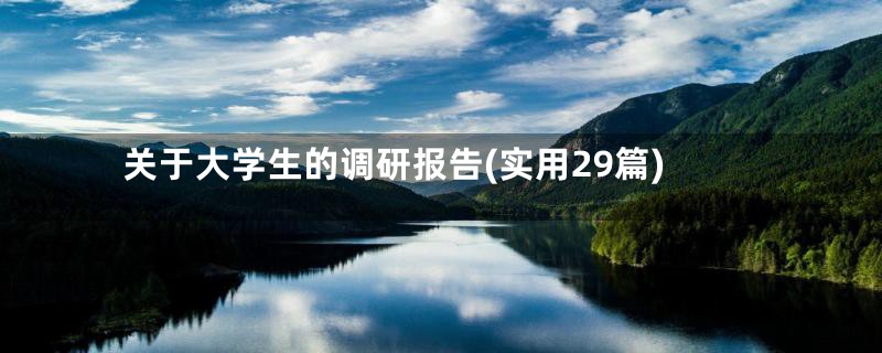 关于大学生的调研报告(实用29篇)