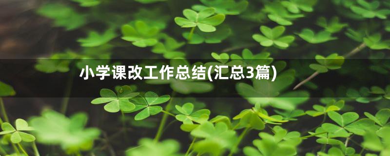 小学课改工作总结(汇总3篇)