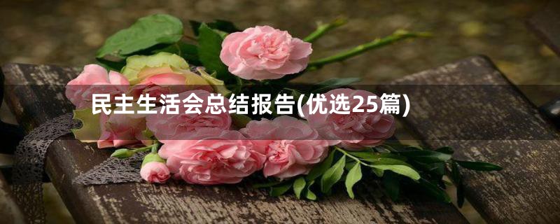 民主生活会总结报告(优选25篇)