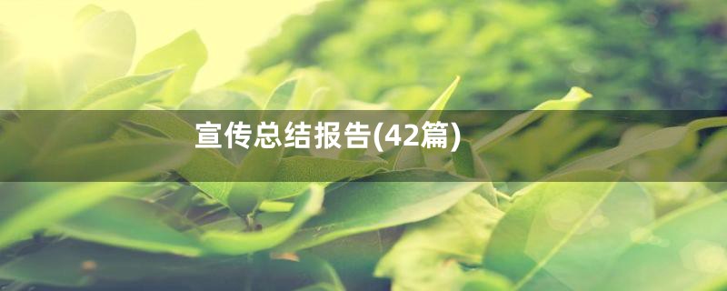 宣传总结报告(42篇)