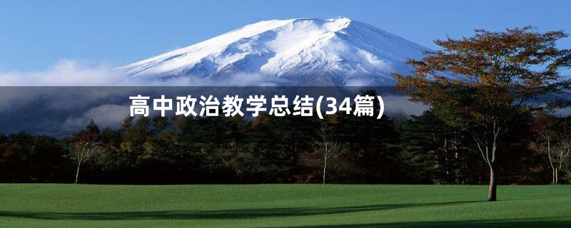 高中政治教学总结(34篇)