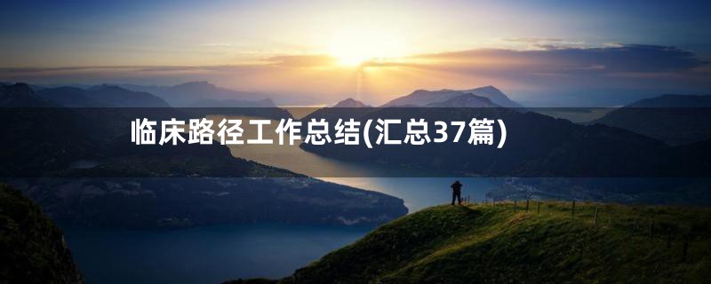临床路径工作总结(汇总37篇)