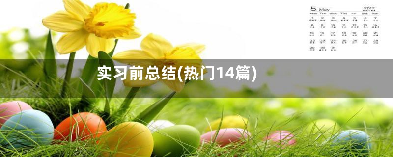实习前总结(热门14篇)
