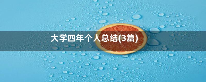 大学四年个人总结(3篇)