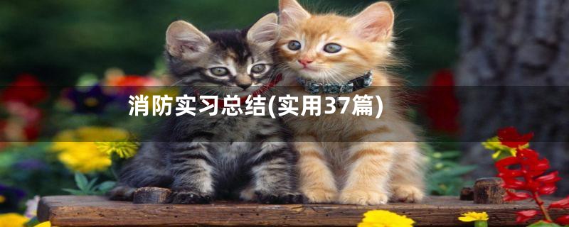 消防实习总结(实用37篇)
