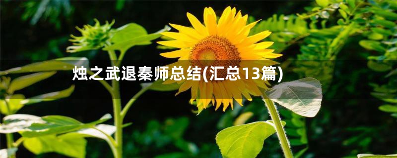 烛之武退秦师总结(汇总13篇)