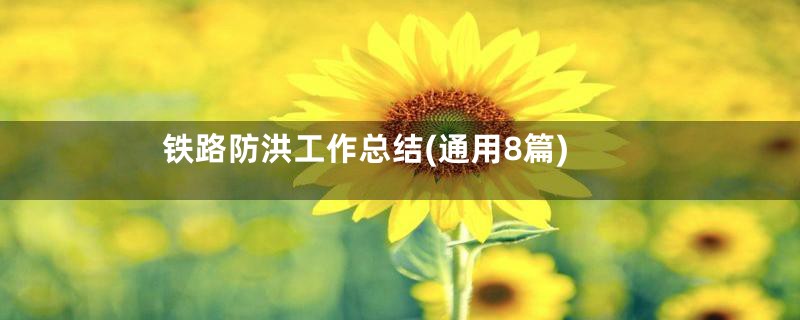 铁路防洪工作总结(通用8篇)