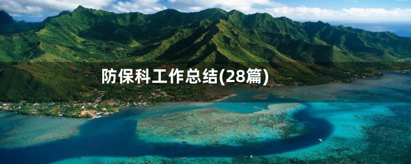 防保科工作总结(28篇)