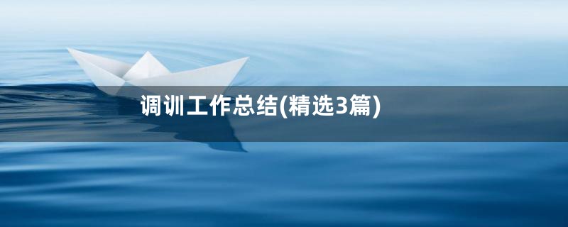 调训工作总结(精选3篇)
