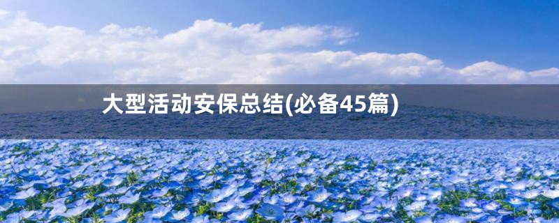 大型活动安保总结(必备45篇)