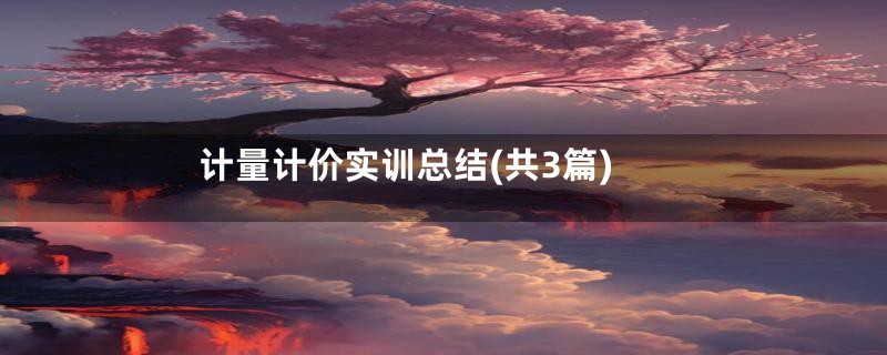 计量计价实训总结(共3篇)