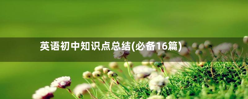 英语初中知识点总结(必备16篇)