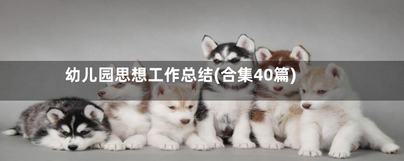 幼儿园思想工作总结(合集40篇)