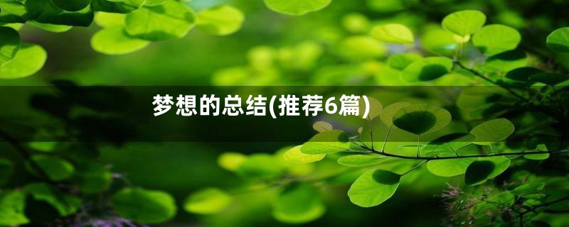梦想的总结(推荐6篇)