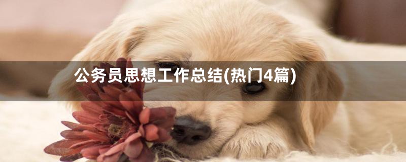 公务员思想工作总结(热门4篇)