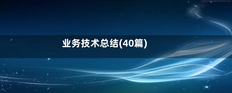 业务技术总结(40篇)