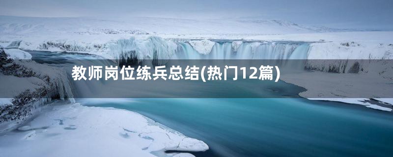 教师岗位练兵总结(热门12篇)