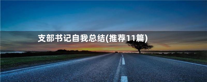 支部书记自我总结(推荐11篇)