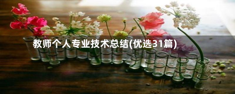 教师个人专业技术总结(优选31篇)