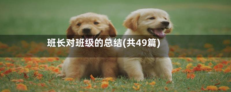 班长对班级的总结(共49篇)