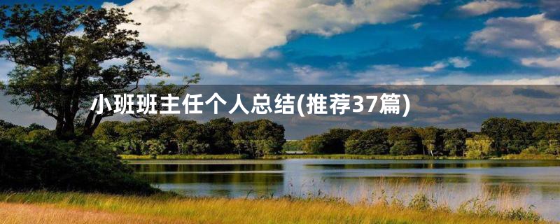 小班班主任个人总结(推荐37篇)