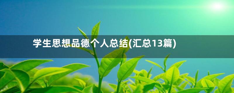 学生思想品德个人总结(汇总13篇)