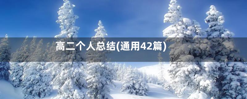 高二个人总结(通用42篇)