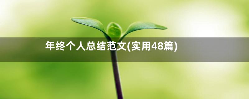 年终个人总结范文(实用48篇)
